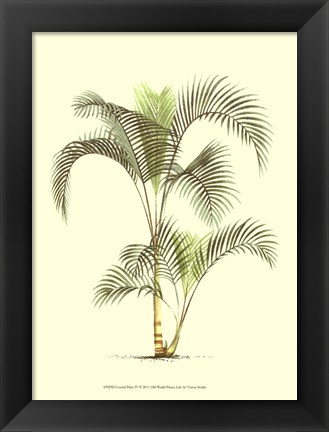 Framed Coastal Palm IV Print