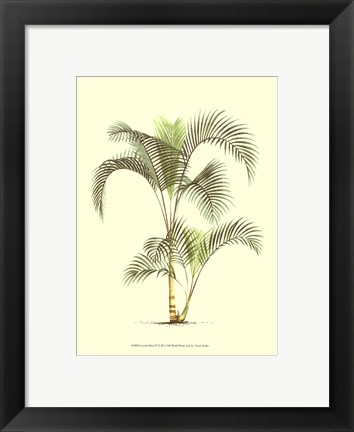 Framed Coastal Palm IV Print