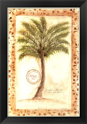 Framed Fan Palm Print