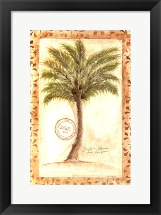 Framed Fan Palm Print