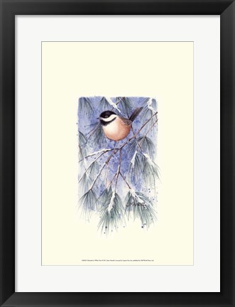 Framed Chickadee in White Pine Print