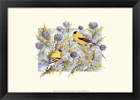 Framed Goldfinches Print