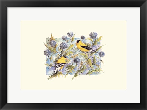 Framed Goldfinches Print