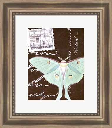 Framed Le Papillon Script I Print