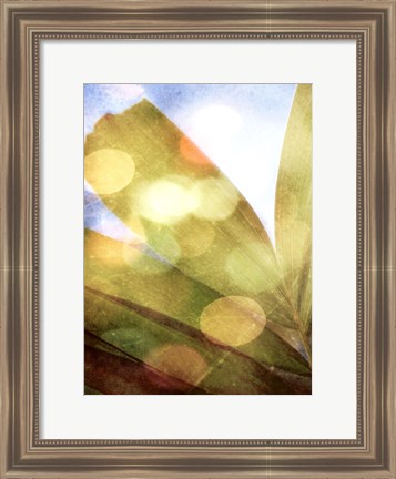 Framed Tropical Daydream II Print