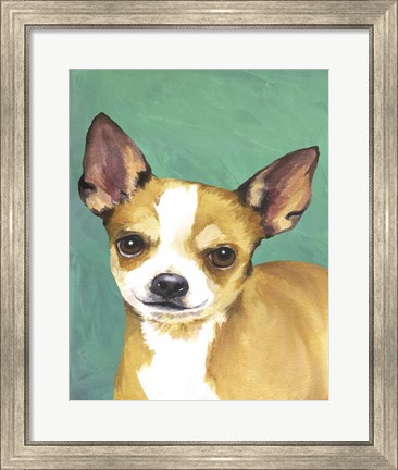 Framed Dog Portrait-Chihuahua Print