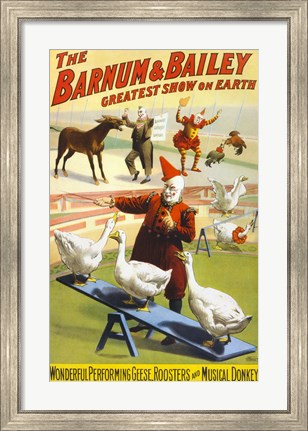 Framed Barnum &amp; Bailey Performing Geese, Roosters and Musical Donkey Print