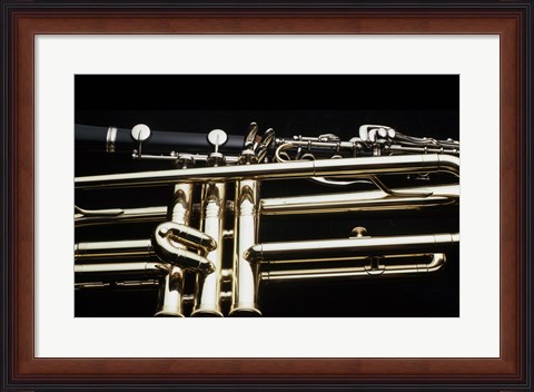 Framed Close - up of a Clarinet and a Trumpet Print