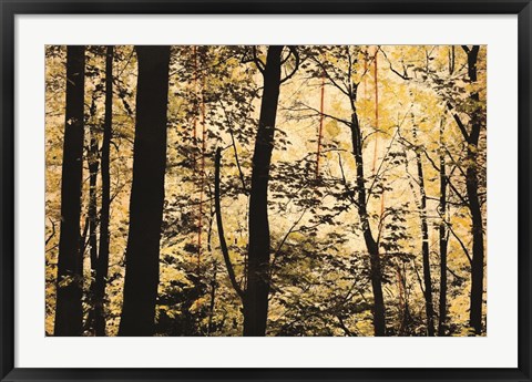 Framed Golden Wood Print