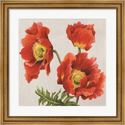 Framed Poppies on Silk Print