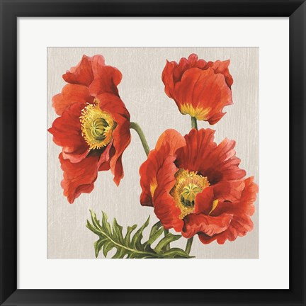 Framed Poppies on Silk Print