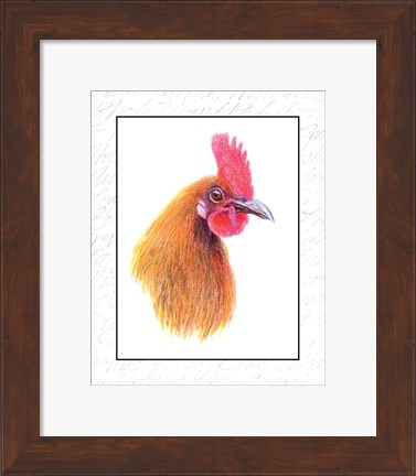 Framed Rooster Insets I Print