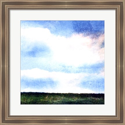 Framed Bright Field III Print