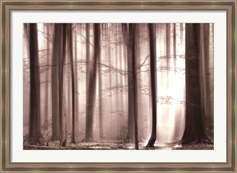Framed Cloaking Woods Print