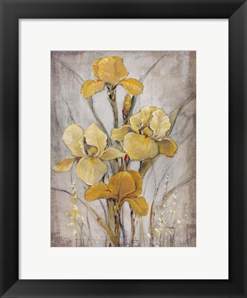 Framed Golden Irises I Print