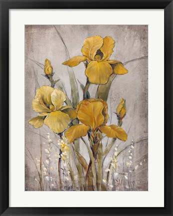 Framed Golden Irises II Print