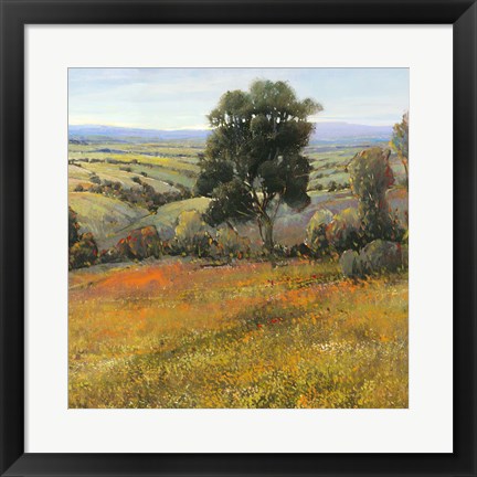 Framed Field In Summer Print