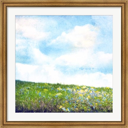 Framed Bright Field I Print