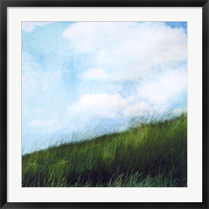 Framed Bright Field II Print