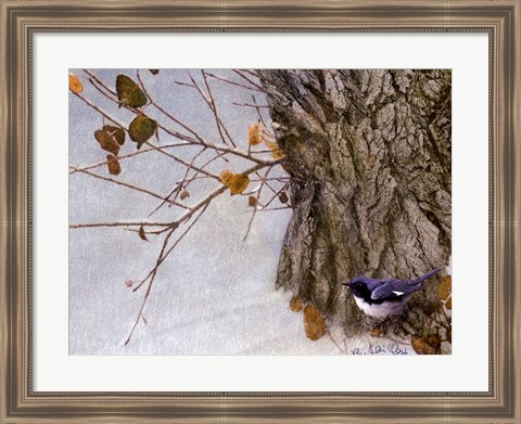 Framed Late Snow Warbler Print