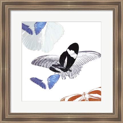 Framed Butterfly Inflorescence I Print