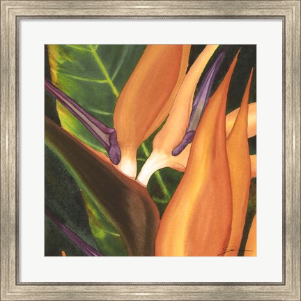 Framed Bird Of Paradise Tile I Print