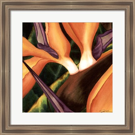 Framed Bird Of Paradise Tile II Print