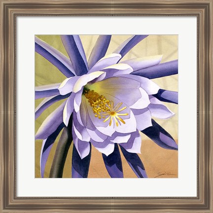 Framed Desert Bloom II Print