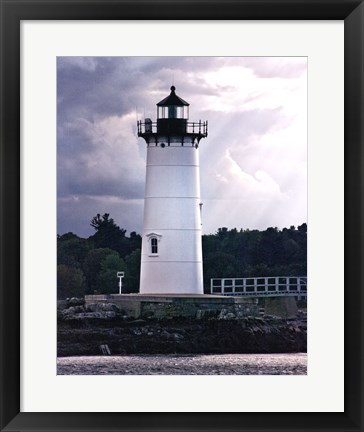 Framed Lighthouse Views IV Print