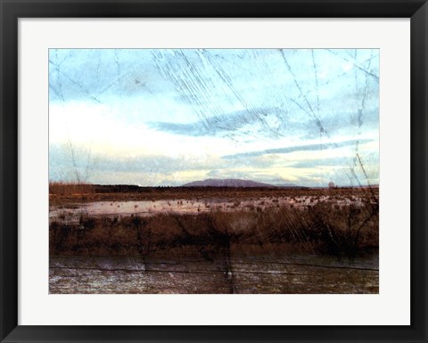 Framed Morning Calm II Print