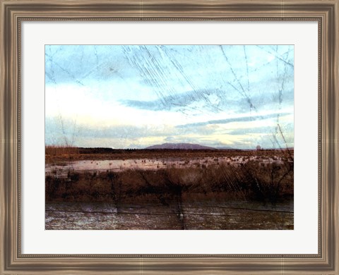 Framed Morning Calm II Print