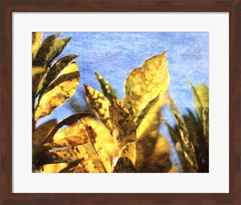 Framed Sun Toward II Print