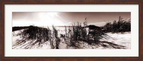 Framed Wind in the Dunes I Print