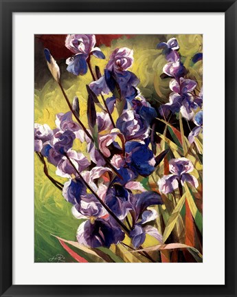 Framed Iris Garden I Print