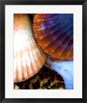 Framed Shell Extraction IV Print