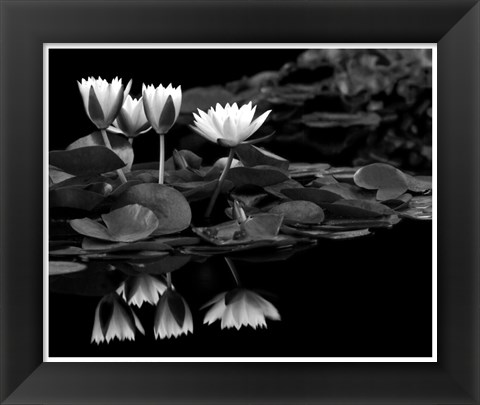 Framed Reflections on Water Print