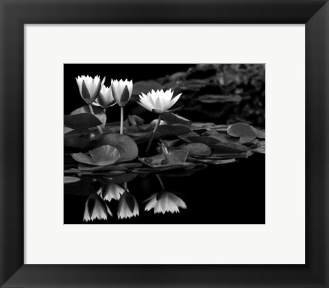 Framed Reflections on Water Print