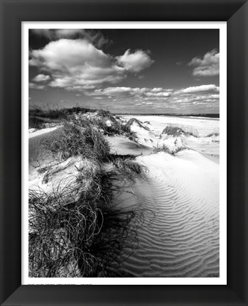 Framed Dune Swale Print