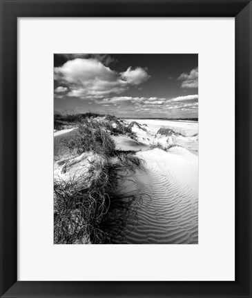 Framed Dune Swale Print