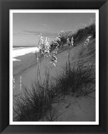 Framed Sea Oat Sparkle Print