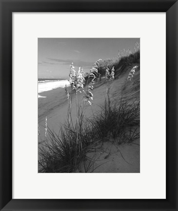 Framed Sea Oat Sparkle Print