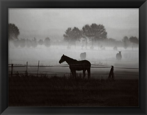 Framed Grazing in the Mist Print