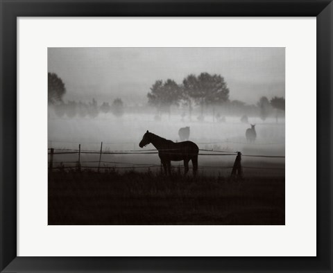 Framed Grazing in the Mist Print