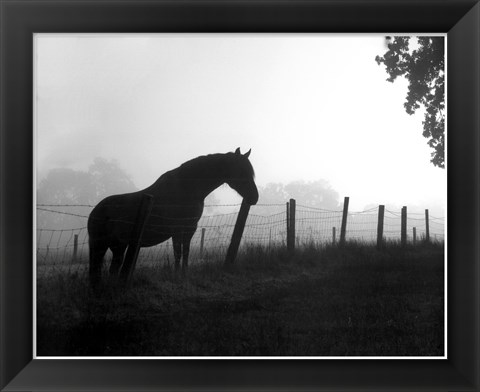 Framed Morning Pasture Print