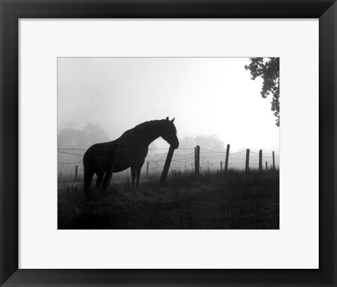 Framed Morning Pasture Print