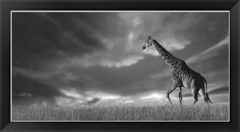 Framed Giraffes, African Skies Print