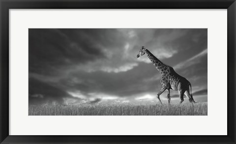 Framed Giraffes, African Skies Print