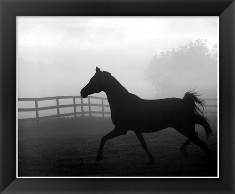 Framed Morning Pasture II Print