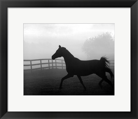 Framed Morning Pasture II Print