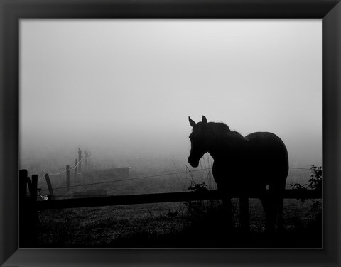 Framed Grazing in the Mist II Print